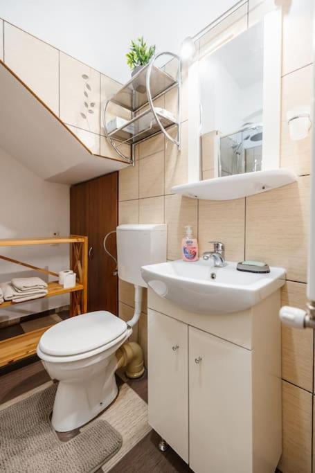 Casa Cu Turn Daire Sibiu Dış mekan fotoğraf